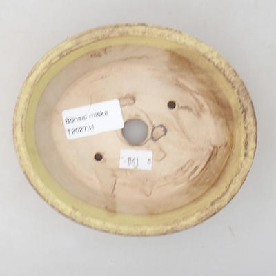 Ceramic bonsai bowl 14 x 12 x 3.5 cm, color yellow - 3