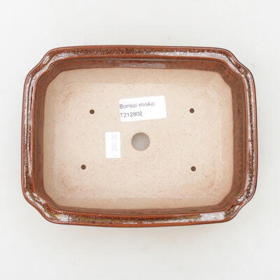 Ceramic bonsai bowl 17.5 x 13.5 x 5.5 cm, brown color - 3