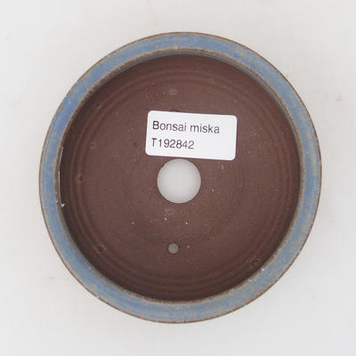 Ceramic bonsai bowl 10 x 10 x 4 cm, color blue - 3