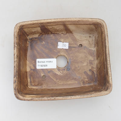 Ceramic bonsai bowl 17 x 14 x 5 cm, brown color - 3