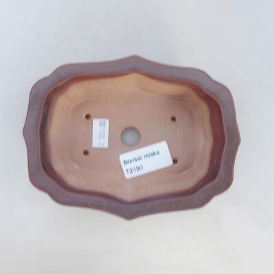 Ceramic bonsai bowl 14.5 x 10.5 x 4.5 cm, brown color - 3