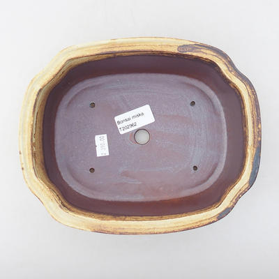 Ceramic bonsai bowl 21 x 17 x 7 cm, color brown - 3