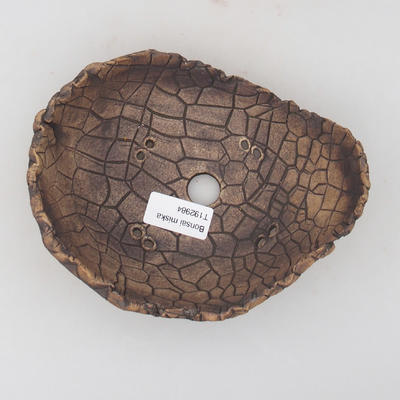 Ceramic Shell 16.5 x 13 x 5.5 cm, gray brown color - 3