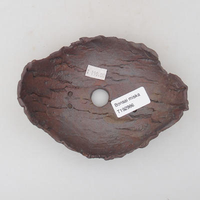 Ceramic Shell 14,5 x 11 x 7 cm, gray brown color - 3