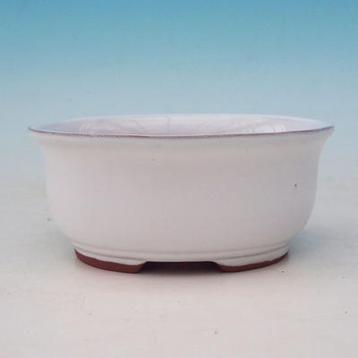 Ceramic bonsai bowl H 30 - 12 x 10 x 5 cm, white- 12 x 10 x 5 cm - 3