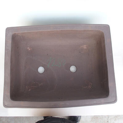 Bonsai bowl 62 x 48 x 19 cm, natural color - 3