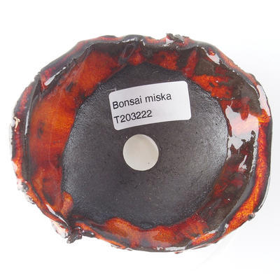 Ceramic shell 11 x 10 x 7 cm, color orange - 3