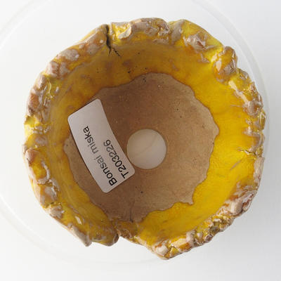 Ceramic shell 9 x 9 x 6 cm, color yellow - 3