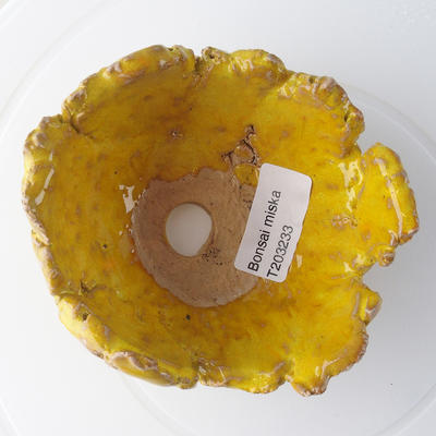 Ceramic shell 11 x 10 x 5 cm, color yellow - 3