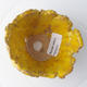 Ceramic shell 11 x 10 x 5 cm, color yellow - 3/3
