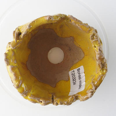 Ceramic shell 9 x 9 x 7 cm, color yellow - 3