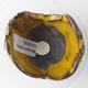 Ceramic shell 9 x 8 x 6 cm, color yellow - 3/3