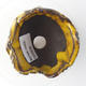 Ceramic shell 9 x 9 x 6 cm, color yellow - 3/3
