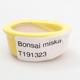 Mini bonsai bowl 4,5 x 4 x 2 cm, yellow color - 3/3