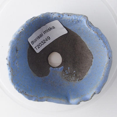 Ceramic shell 9 x 9 x 4 cm, color blue - 3