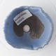Ceramic shell 9 x 9 x 4 cm, color blue - 3/3