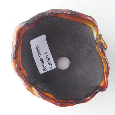 Ceramic shell 10 x 8 x 5 cm, color orange - 3