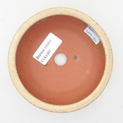 Ceramic bonsai bowl - 11 x 11 x 4 cm, color beige - 3