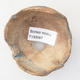 Ceramic Shell 7 x 7 x 6 cm, brown-blue color - 3/3