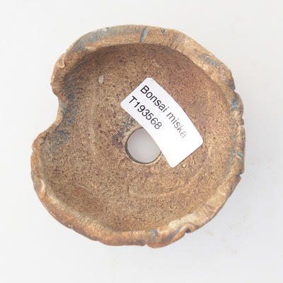 Ceramic Shell 7 x 7 x 6 cm, brown-blue color - 3
