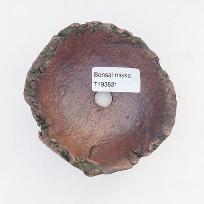 Ceramic Shell 8.5 x 8.5 x 6.5 cm, brown-green color - 3
