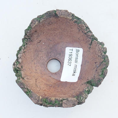 Ceramic Shell 8 x 8 x 5 cm, brown-green color - 3