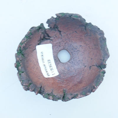 Ceramic Shell 8 x 8 x 5,5 cm, brown-green color - 3