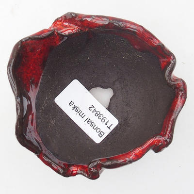 Ceramic Shell 8 x 8 x 5,5 cm, red color - 3