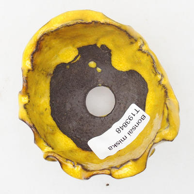 Ceramic Shell 7,5 x 7 x 6 cm, yellow color - 3