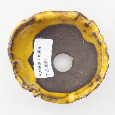 Ceramic Shell 7 x 7 x 4,5 cm, yellow color - 3