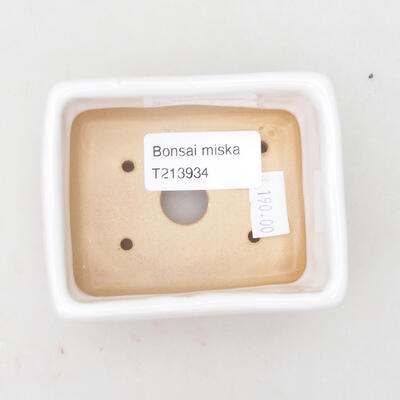 Ceramic bonsai bowl 9 x 7 x 4 cm, color white - 3