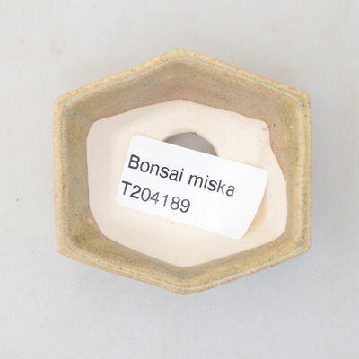 Mini bonsai bowl 6 x 5 x 2 cm, beige color - 3