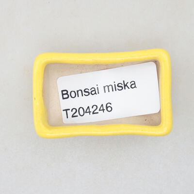 Mini bonsai bowl 4.5 x 2.5 x 1.5 cm, yellow color - 3