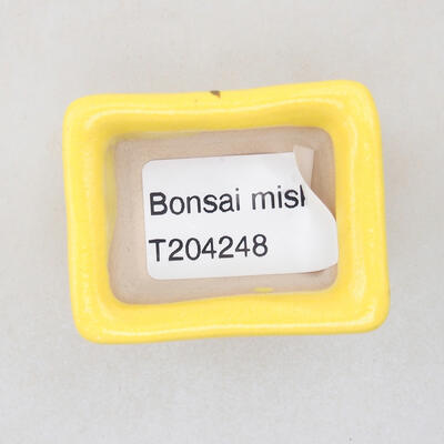 Mini bonsai bowl 4 x 3 x 2.5 cm, color yellow - 3