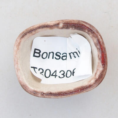Mini bonsai bowl 3 x 2.5 x 1.5 cm, color red - 3
