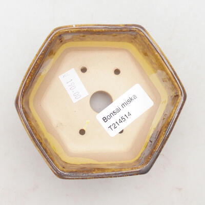 Ceramic bonsai bowl 10.5 x 9 x 5 cm, color yellow-brown - 3