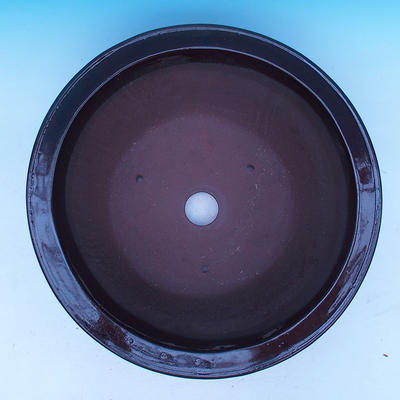 Bonsai bowl 47 x 47 x 21 cm - 3