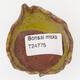 Ceramic shell 4.5 x 5 x 4.5 cm, color yellow - 3/3