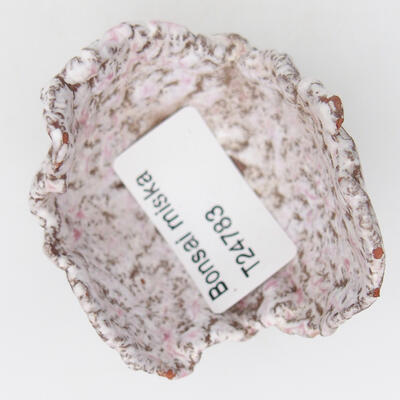 Ceramic Shell 6 x 4.5 x 4.5 cm, white pink color - 3
