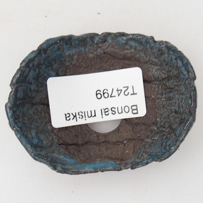 Ceramic Shell 8 x 5.5 x 4 cm, color blue - 3