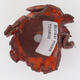 Ceramic shell 6 x 5.5 x 4.5 cm, color orange - 3/3