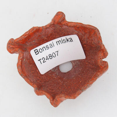 Ceramic Shell 6.5 x 5.5 x 3.5 cm, color orange - 3