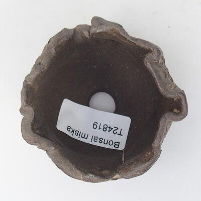 Ceramic shell 7.5 x 7 x 5 cm, color brown - 3