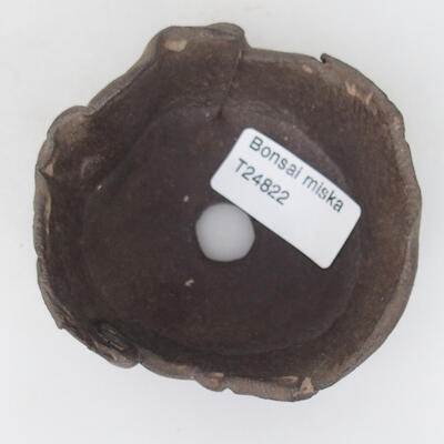 Ceramic shell 8.5 x 8.5 x 4 cm, color brown - 3