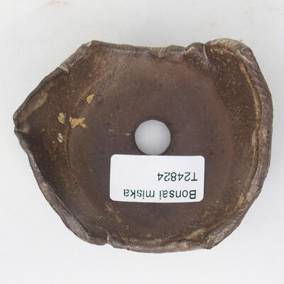 Ceramic shell 8.5 x 8 x 4 cm, color brown - 3