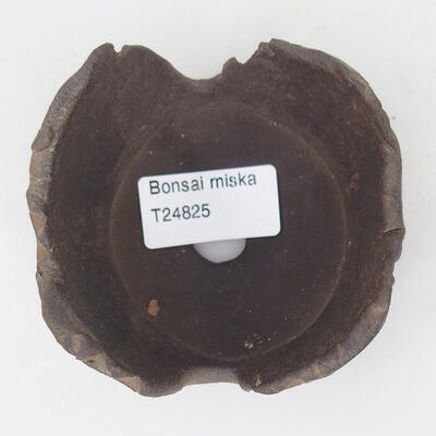 Ceramic shell 8.5 x 8 x 5 cm, color brown - 3
