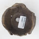 Ceramic shell 8.5 x 8.5 x 5.5 cm, color brown - 3/3