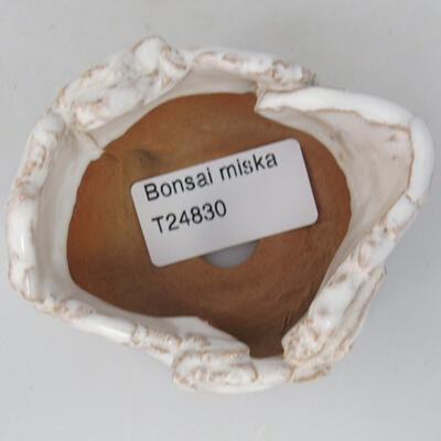 Ceramic Shell 7 x 6.5 x 4.5 cm, color white - 3