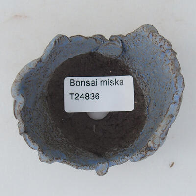 Ceramic shell 7 x 7 x 5 cm, color blue - 3