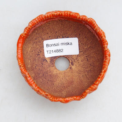 Ceramic shell 8.5 x 8.5 x 6 cm, color orange - 3